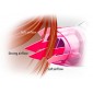 EH-NE31 - фен с ионизатором Panasonic
